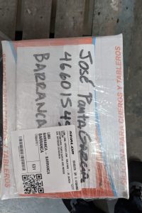 WhatsApp Image 2025-09-17 at 17.53.22